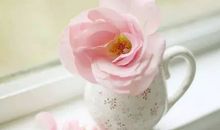 你值得拥有最好的一切经典句子