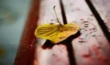 小说经典句子句句穿心