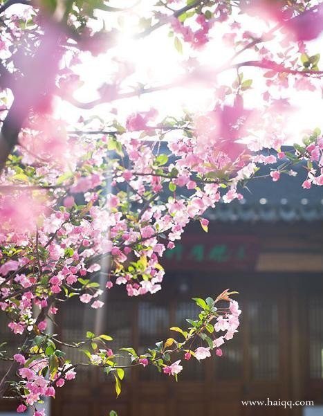 小学毕业生的个性签名