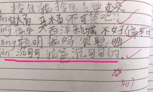 虽然在句子中使用了什么