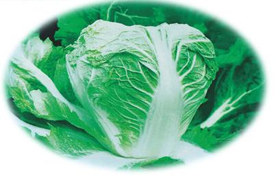 关于白菜的寓言