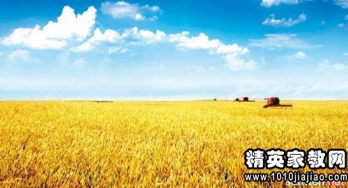 关于农业的谚语