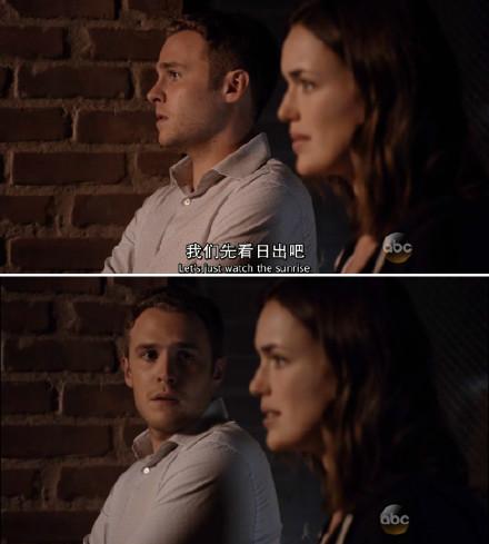 S.H.I.E.L.D.的经典系列代理商