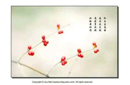 表达相思的古代​​句子