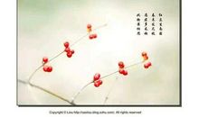 表达相思的古风句子