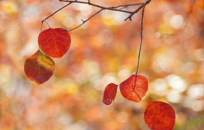 美丽的句子和彩色图片：我删除了记忆，但记忆仍留在我心中1