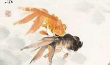 写金鱼的比喻句