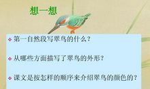 描写翠鸟动作的语句