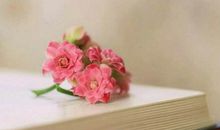 优美又有哲理的句子，哲理优美的句子