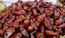 关于辣椒的比喻句