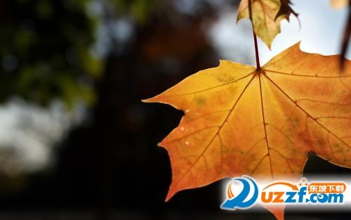 一句话就知道秋天