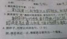 既…又造句大全