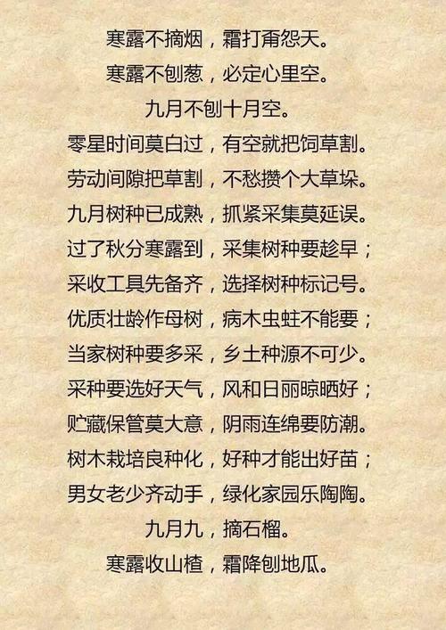 与农业有关的谚语