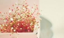 鼓励男朋友开心的句子 鼓励男友的最窝心的话