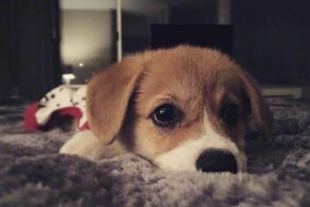 在朋友圈中谈论天冷的个性