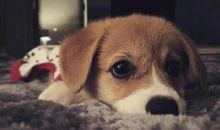 朋友圈天冷个性说说