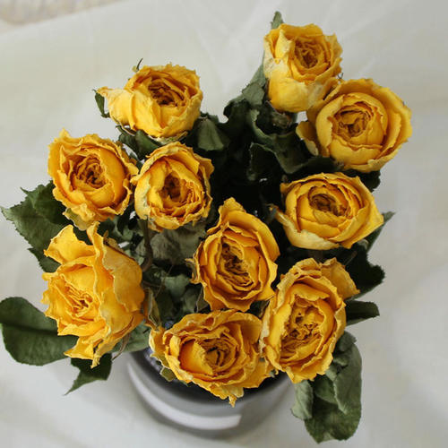 有一个快乐的心情，用一句话就开心