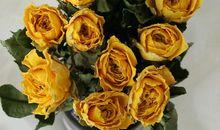 开开心心的心情愉悦的句子 开开心心的过好每一天句子