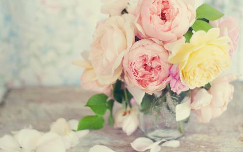 句子让你的女朋友开心句子让你的女朋友开心