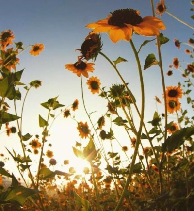 姐妹们在一起快乐的句子