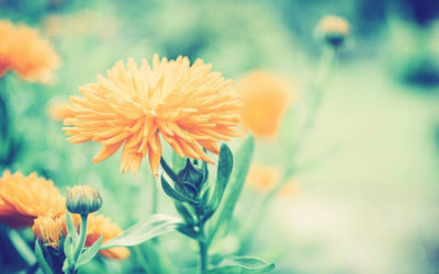 无处可放，我们遥远的青年