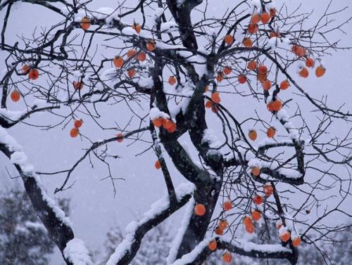 形容天空的寓言