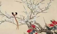 写鸟的古诗名句