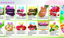 四季瓜果蔬菜的谚语