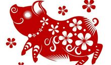 2019教师春节祝福语