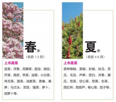 全年关于水果和蔬菜的谚语