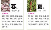 一年四季瓜果蔬菜的谚语