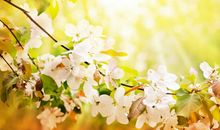 有哲理的句子或说说：不要为旧的悲伤，浪费新的眼泪