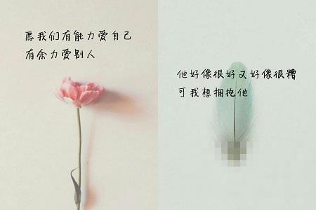 判你喜欢的人的句子