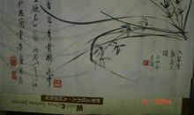 用兰花写比喻句