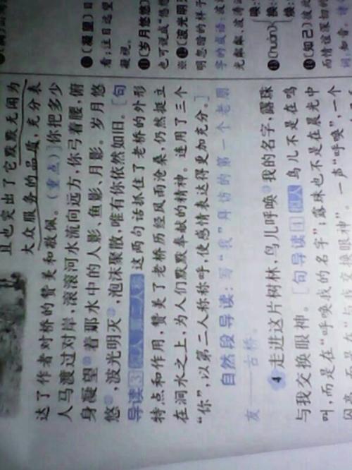 20个拟人化句子