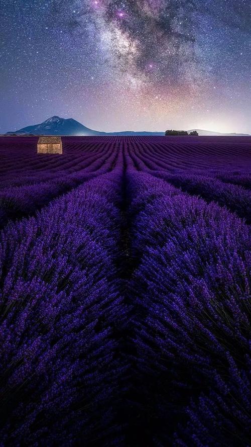 自然景观的隐喻