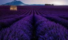 自然景观的比喻句