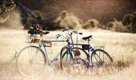 美丽和哲学的句子，美丽和哲学的句子