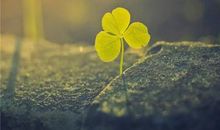 2020经典语录大实话