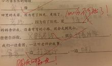 既怎么又怎么造句大全