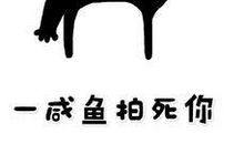 2018年最搞笑的说说