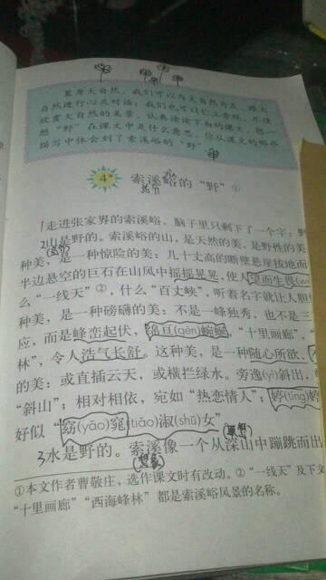 200个拟人化句子