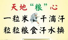 珍惜粮食英文谚语