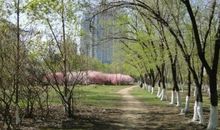 春天景象的比喻句