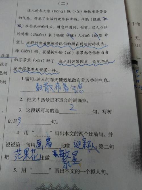 100个拟人化句子