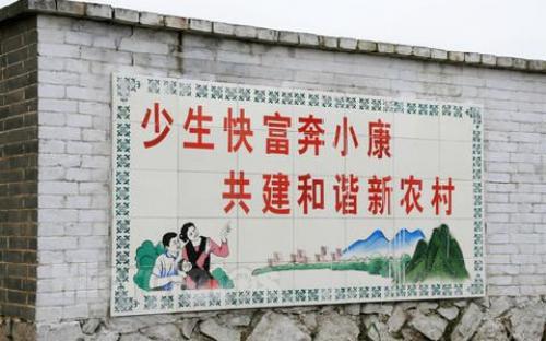 全面改善农村环境的口号