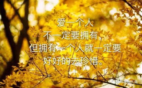 2020年最受欢迎的演讲