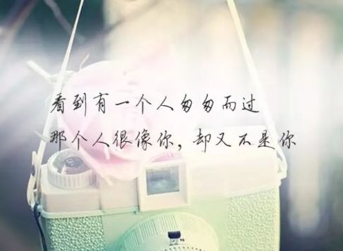 让人哭泣的句子