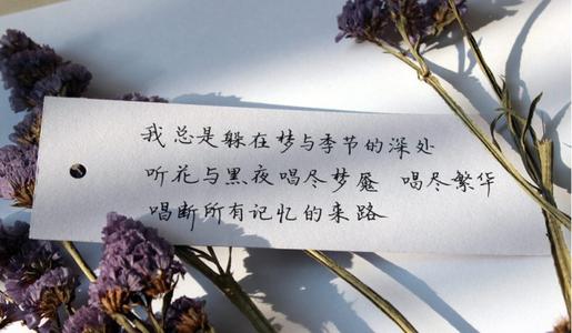 来自世界的25条著名语录