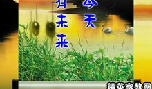 校园安全宣传标语100条